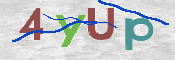 CAPTCHA-Bild